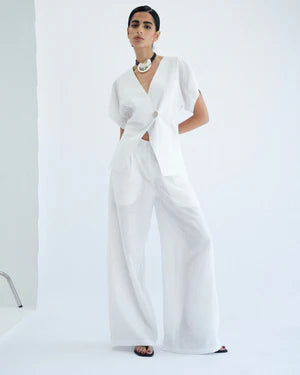 Pleated suit pants