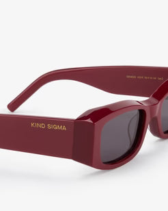 Red sunglasses with 'KIND SIGMA' branding on a white background