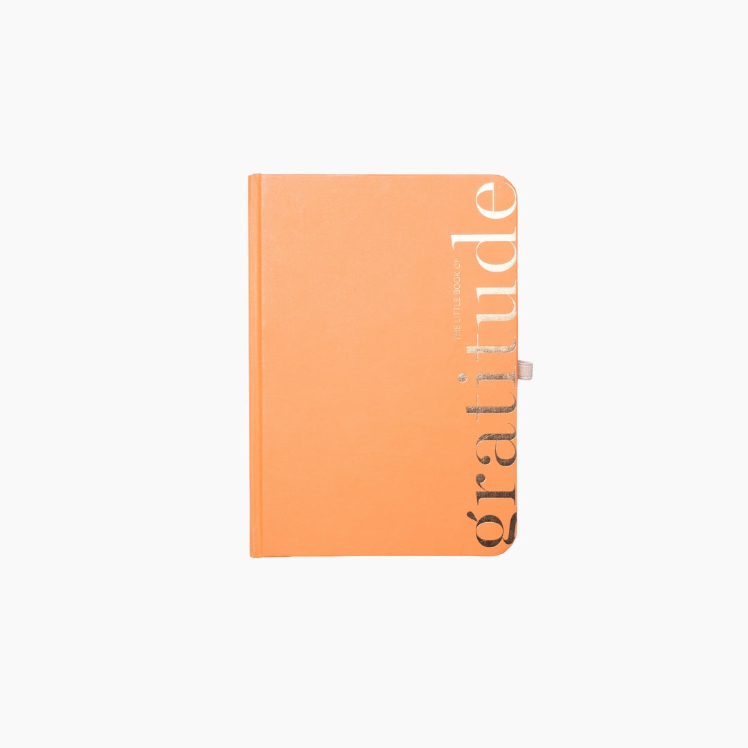 Mandarin Gratitude Journal