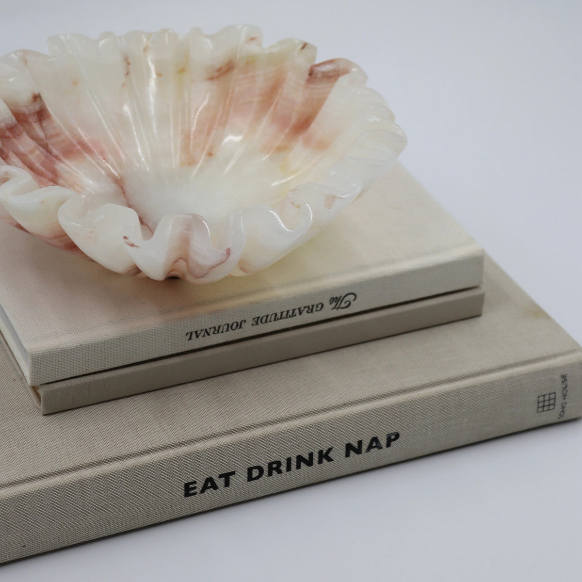 Shell on top of two books with text