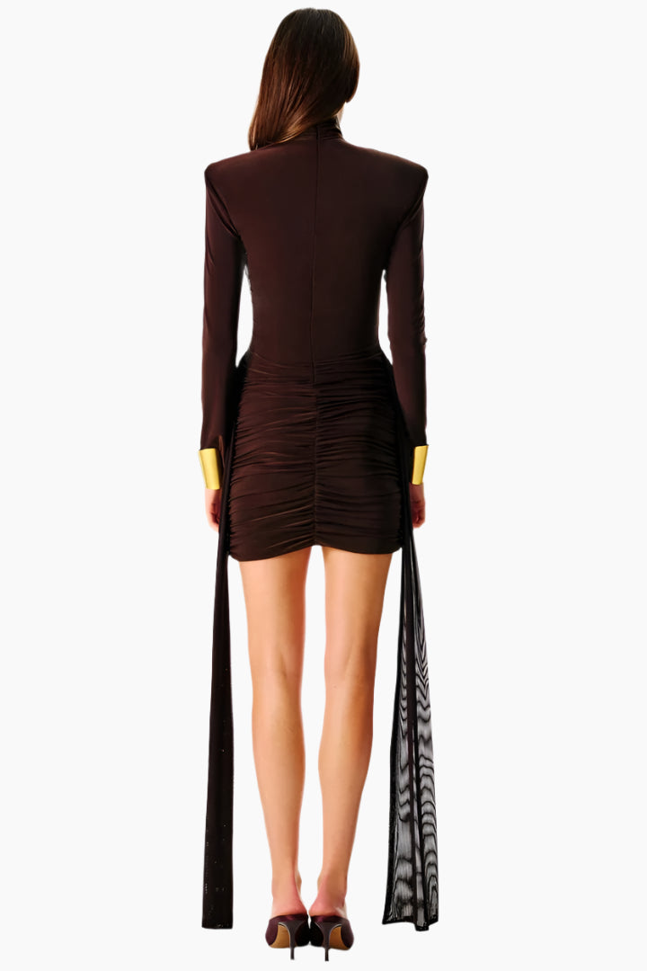 Woman wearing a brown dress with long sleeves and a sheer overlay