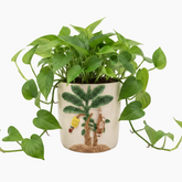 27815 Monkeypot
