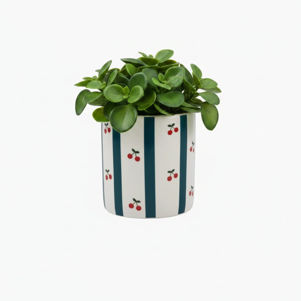 27961 Alicepot Mix A
