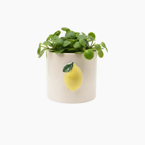 28372  Sangriapot Mix A