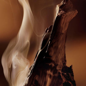 Close-up of a smoking log with a warm brown background