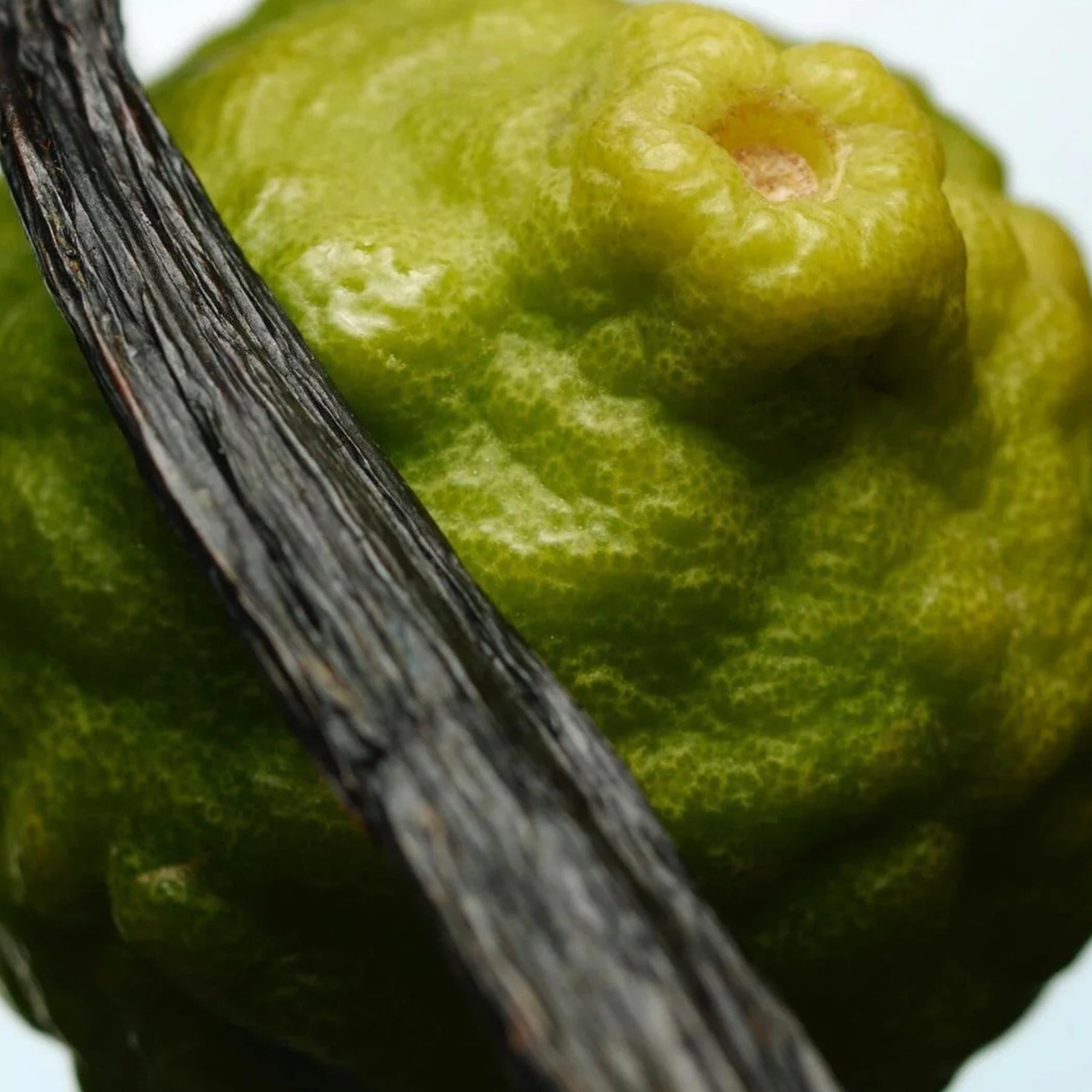 Close-up of a green fruit with a dark stem on a white background