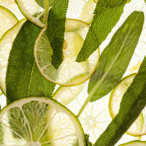 Close-up of lime slices and sage leaves on a white background