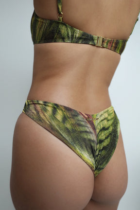 V Cut Bikini Set