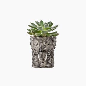Succulent plant in a pot shaped like an elephant's head 
