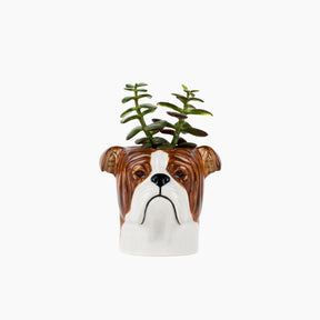 Ceramic planter shaped like a bulldog's head with a plant 