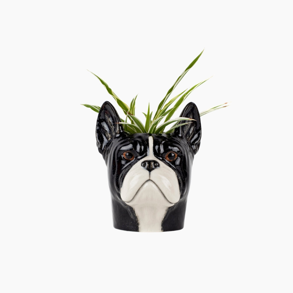 Dog-shaped planter with a plant