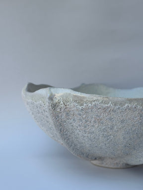 Astra Bowl Large