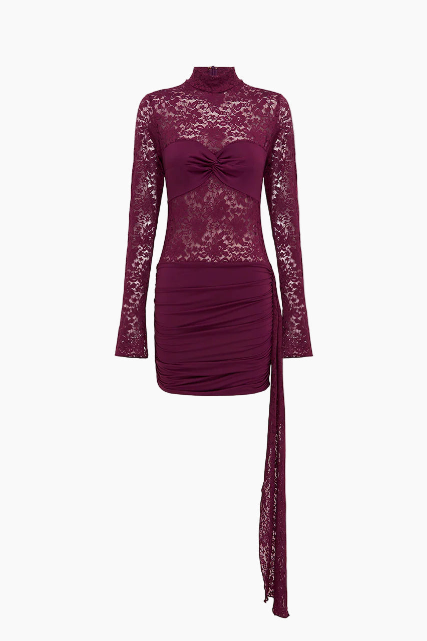 Larna Lace Long Sleeve Mini Dress