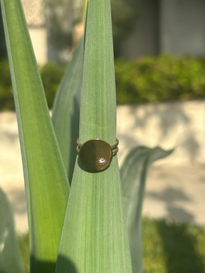 Round Gold Ring with Stone