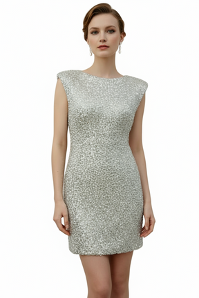 Silver sequin dress worn by a model 