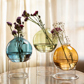 The Clarity Collection