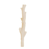 Dinnercandle Coral
