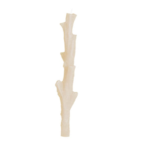 Dinnercandle Coral