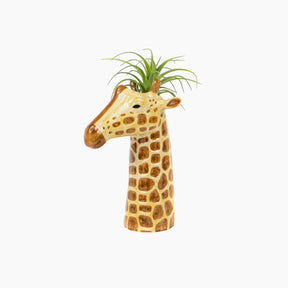 Giraffe-shaped planter with air plant 