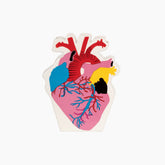 Colorful anatomical heart illustration